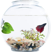 Pack Betta Fish Leaf Hammock Simulating