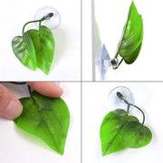 Pack Betta Fish Leaf Hammock Simulating